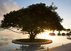 maledivy-hotel-dusit-thani-maldives-501.jpg