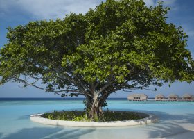 maledivy-hotel-dusit-thani-maldives-502.jpg