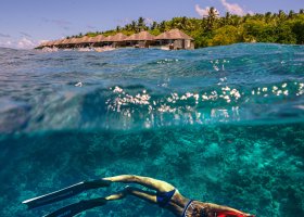 maledivy-hotel-dusit-thani-maldives-513.jpg