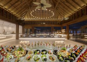 maledivy-hotel-dusit-thani-maldives-531.jpg