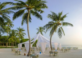 maledivy-hotel-dusit-thani-maldives-533.jpg