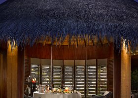 maledivy-hotel-dusit-thani-maldives-544.jpg
