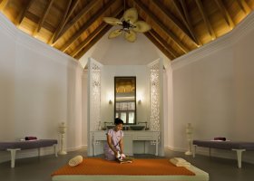maledivy-hotel-dusit-thani-maldives-592.jpg
