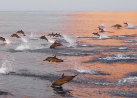 maledivy-hotel-here-baa-atoll-maldives-001.jpeg