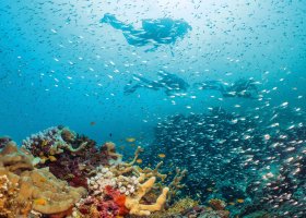 maledivy-hotel-here-baa-atoll-maldives-021.jpeg