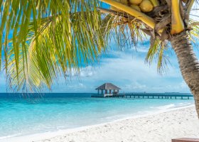 maledivy-hotel-kudafushi-394.jpg
