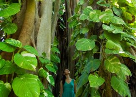 maledivy-hotel-kuramathi-island-resort-303.jpg
