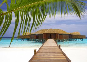 maledivy-hotel-lily-beach-resort-042.jpg