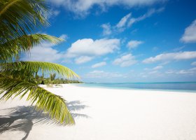 maledivy-hotel-lux-maldives-124.jpg
