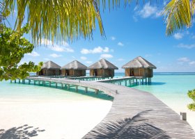 maledivy-hotel-lux-maldives-157.jpg