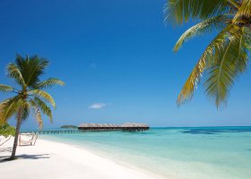 maledivy-hotel-lux-south-ari-atoll-233.jpg