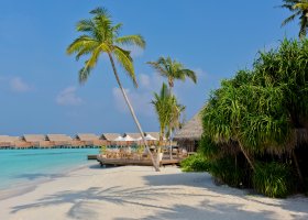 maledivy-hotel-milaidhoo-019.jpg