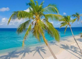 maledivy-hotel-milaidhoo-132.jpg