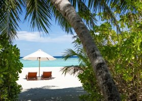 maledivy-hotel-niva-velassaru-400.jpg