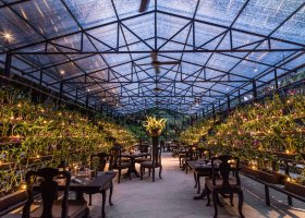 Botanica - dům orchidejí