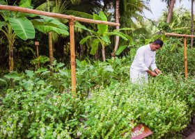 Botanica - bio zahrádka