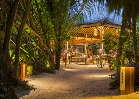 maledivy-hotel-park-hyatt-maldives-hadahaa-041.jpg