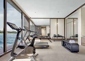 maledivy-hotel-park-hyatt-maldives-hadahaa-136.jpg