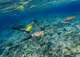 maledivy-hotel-raffles-maldives-meradhoo-resort-221.jpg