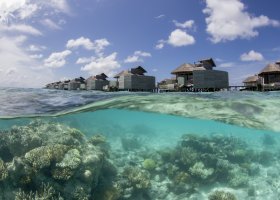 maledivy-hotel-six-senses-laamu-326.jpg