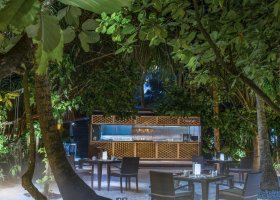 maledivy-hotel-st-regis-vommuli-010.jpg