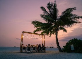 maledivy-hotel-sun-siyam-vilu-reef-274.jpg