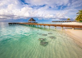 maledivy-hotel-sun-siyam-vilu-reef-308.jpg