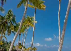 maledivy-hotel-veligandu-island-resort-128.jpg