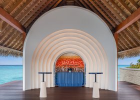 maledivy-hotel-w-maldives-282.jpg