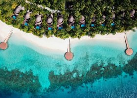 maledivy-hotel-w-maldives-320.jpg
