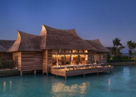 maledivy-hotel-waldorf-astoria-maldives-ithaafushi-032.jpg