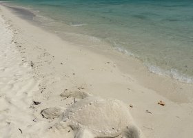 maledivy-s-rodinou-hotel-cocoon-maldives-008.jpg