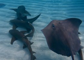 maledivy-s-rodinou-hotel-cocoon-maldives-015.jpg