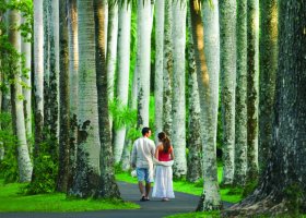 mauricius-hotel-four-seasons-resort-mauritius-173.jpg