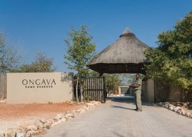 namibie-hotel-ongava-lodge-089.jpg