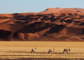namibie-hotel-sossusvlei-desert-lodge-008.jpg