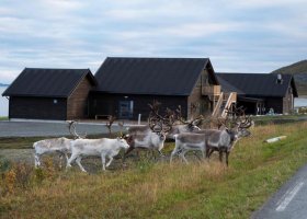 norsko-hotel-lyngen-experience-006.jpg