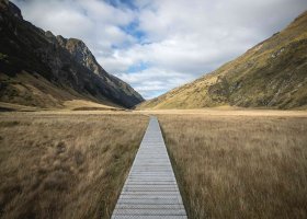https://anzcro.co.nz/