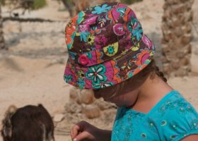 krmení koz, Chaicas klub