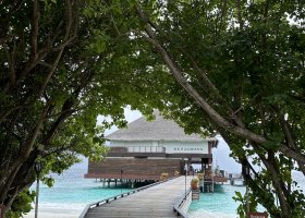 recenze-hotelu-na-maledivach-cora-cora-maldives-a-dusit-thani-043.jpg