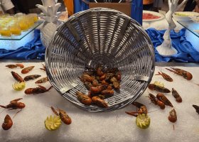 rodinna-cesta-na-mauricius-019.jpg