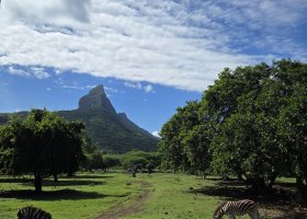 rodinna-cesta-na-mauricius-062.jpg