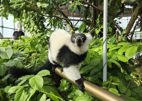 safari-v-keni-016.jpg