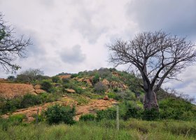 safari-v-keni-022.jpg