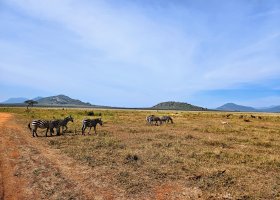 safari-v-keni-033.jpg