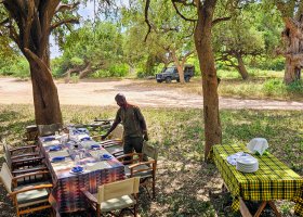 safari-v-keni-039.jpg