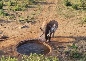 safari-v-keni-041.jpg