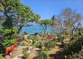 safari-v-keni-050.jpg