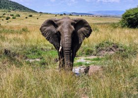 safari-v-keni-069.jpg