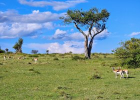 safari-v-keni-090.jpg